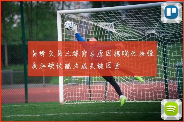 黄蜂交易三球背后原因揭晓对抗强度和硬仗能力成关键因素