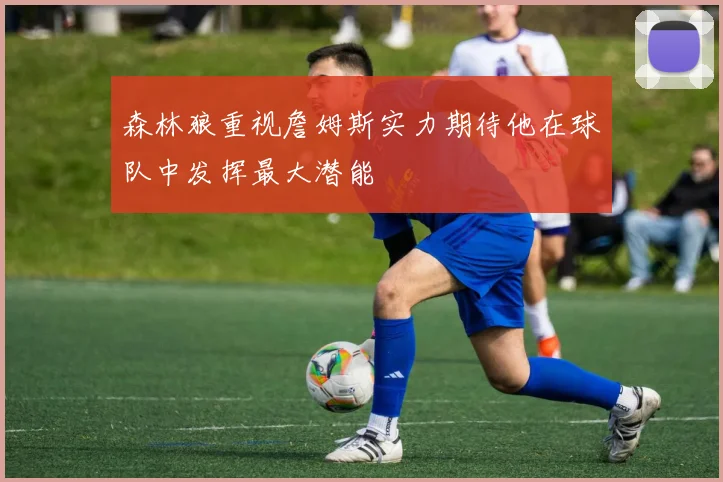 森林狼重视詹姆斯实力期待他在球队中发挥最大潜能
