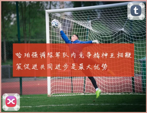 哈珀强调绿军队内竞争精神互相鞭策促进共同进步是最大优势
